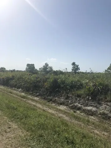 19775 NW 242nd Street Okeechobee FL 34972