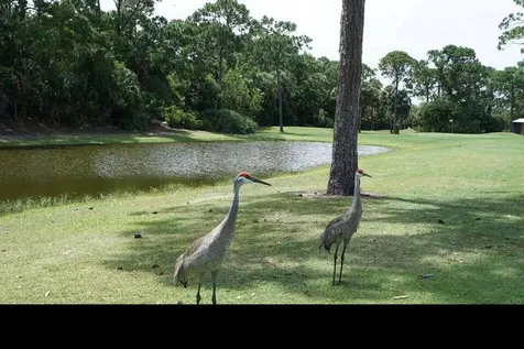 12 Orinco Road Port Saint Lucie FL 34952
