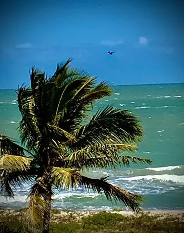 3200 N Highway A1a Hutchinson Island FL 34949