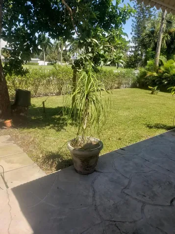 812 Dogwood Road North Palm Beach FL 33408