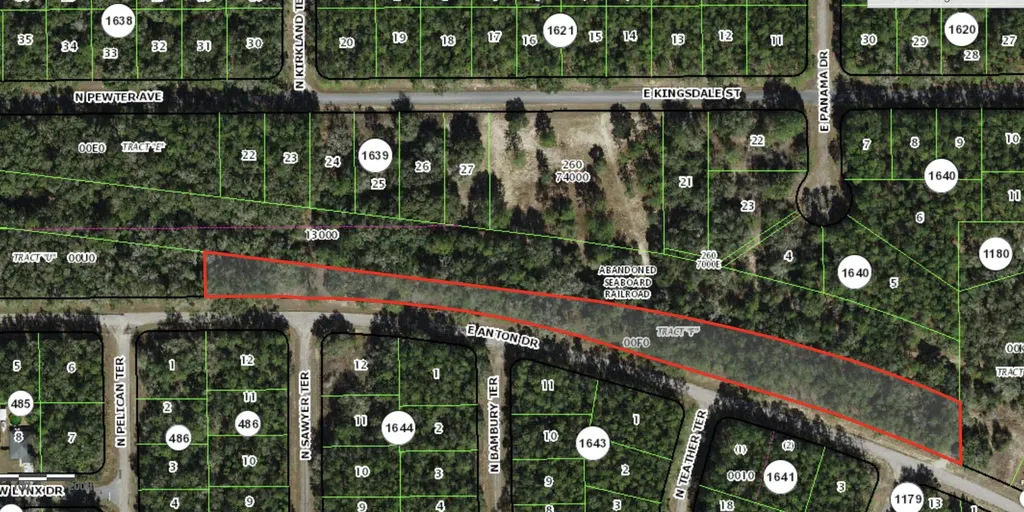 0 E Anton Drive Citrus Springs FL 34434