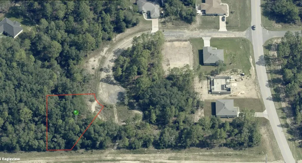 2770 W Tracy Court Citrus Springs FL 34433