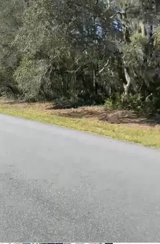 4017 SW 133rd Loop Ocala FL 34473