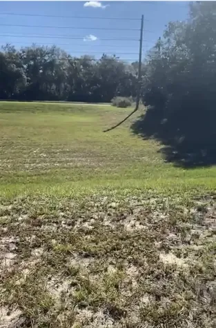 4017 SW 133rd Loop Ocala FL 34473