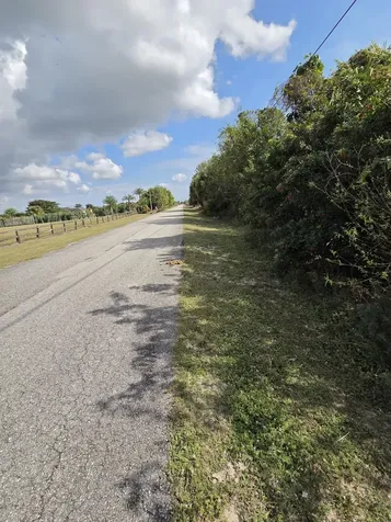 19542 Green Grove Court Loxahatchee FL 33470