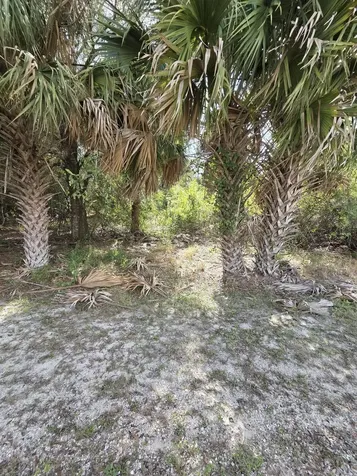 19542 Green Grove Court Loxahatchee FL 33470