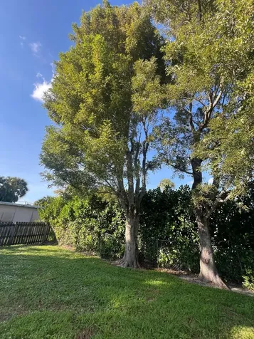 700 N Hepburn Avenue Jupiter FL 33458