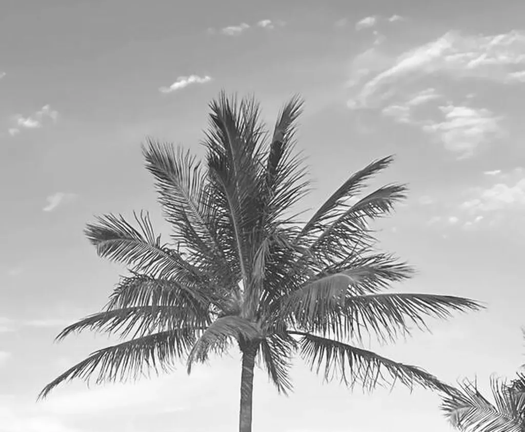 11465 Old Harbour Road North Palm Beach FL 33408