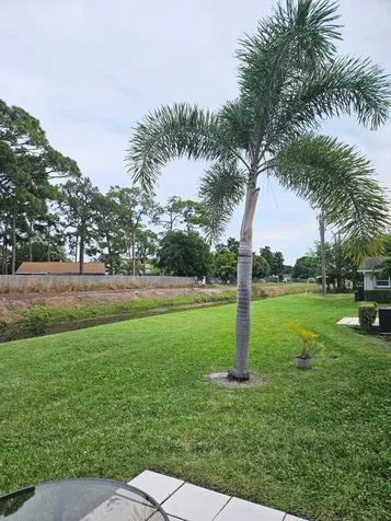 2520 Dudley Drive West Palm Beach FL 33415