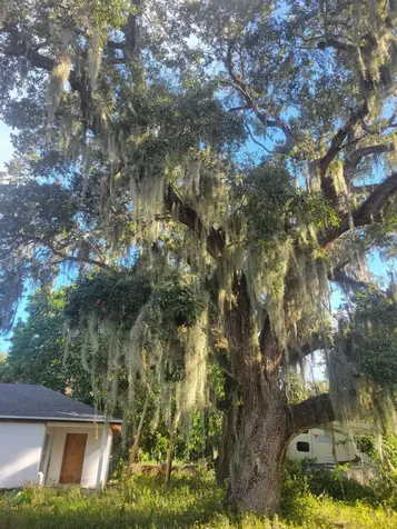 1817 Palm Boulevard Melbourne FL 32901