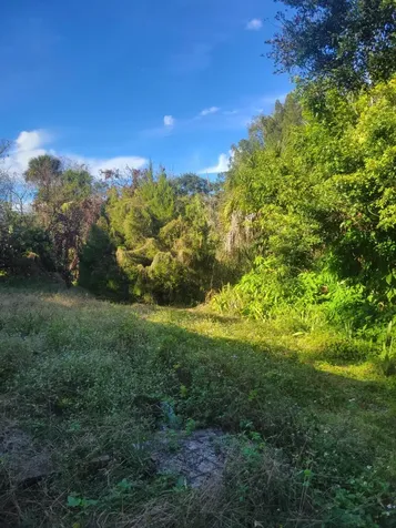 1817 Palm Boulevard Melbourne FL 32901