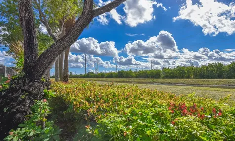 7012 Trentino Way Boynton Beach FL 33472