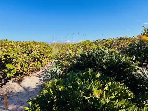 310 S Ocean Drive Fort Pierce FL 34949