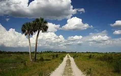 17618 NW 286th Street Okeechobee FL 34972