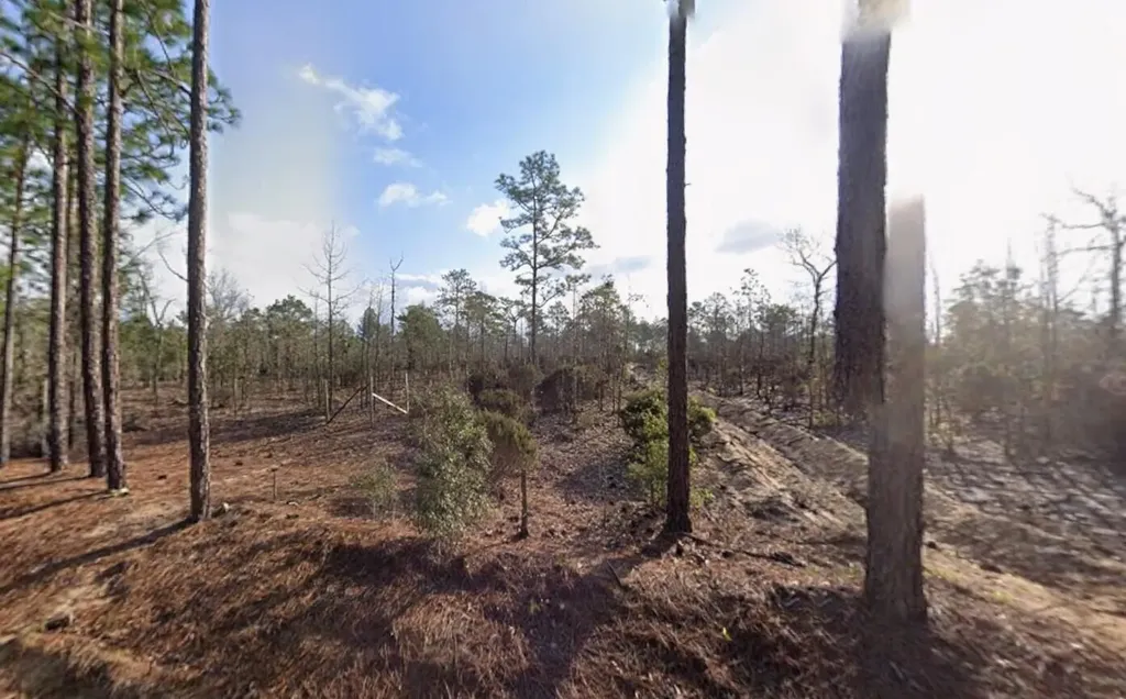 116 Tulip Avenue Interlachen FL 32148