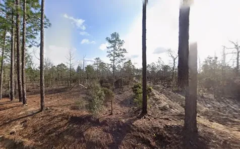 116 Tulip Avenue Interlachen FL 32148