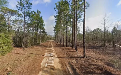 116 Tulip Avenue Interlachen FL 32148