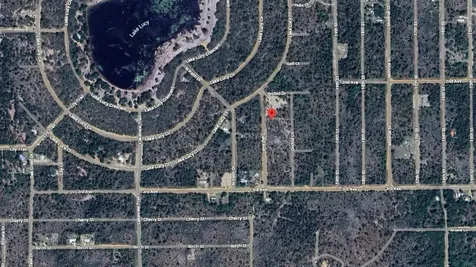 116 Tulip Avenue Interlachen FL 32148