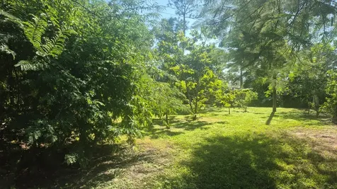 13706 44th Place West Palm Beach FL 33411