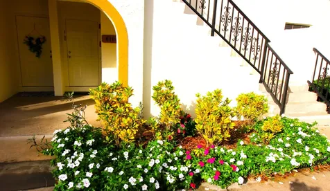 2900 Olivewood Terrace Boca Raton FL 33431