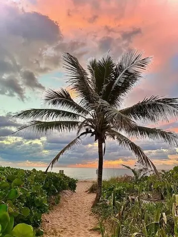 5111 N Ocean Boulevard Ocean Ridge FL 33435