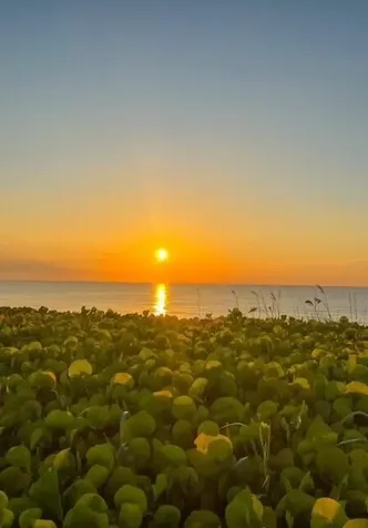 5111 N Ocean Boulevard Ocean Ridge FL 33435