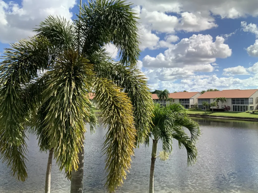 14356 Emerald Lake Drive Delray Beach FL 33446