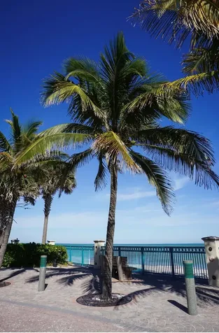 935 34th Avenue Vero Beach FL 32960