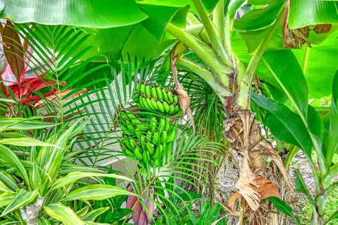 9789 Boca Gardens Circle Boca Raton FL 33496