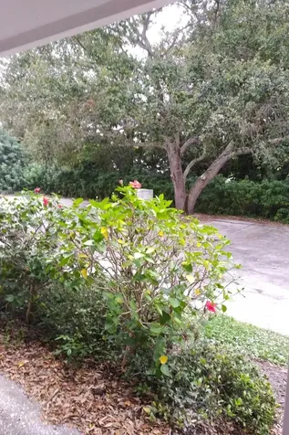 948 Louisiana Avenue Sebastian FL 32958