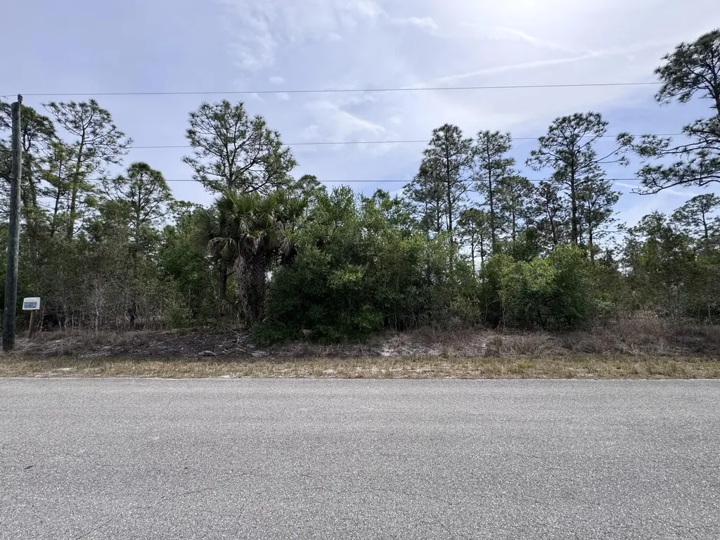1314 Willard Avenue Lehigh Acres FL 33972
