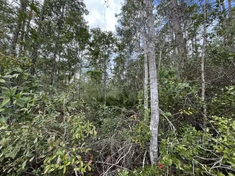 215 Royal Avenue Interlachen FL 32148