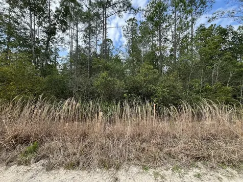 215 Royal Avenue Interlachen FL 32148