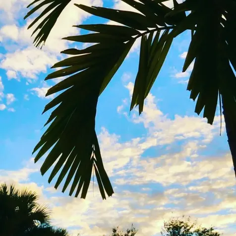 6078 Dusenburg Road Delray Beach FL 33484