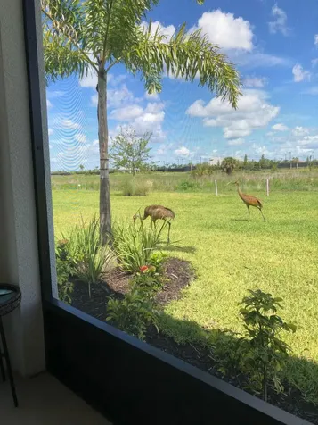 12861 Sw Ambra Street Port Saint Lucie FL 34987