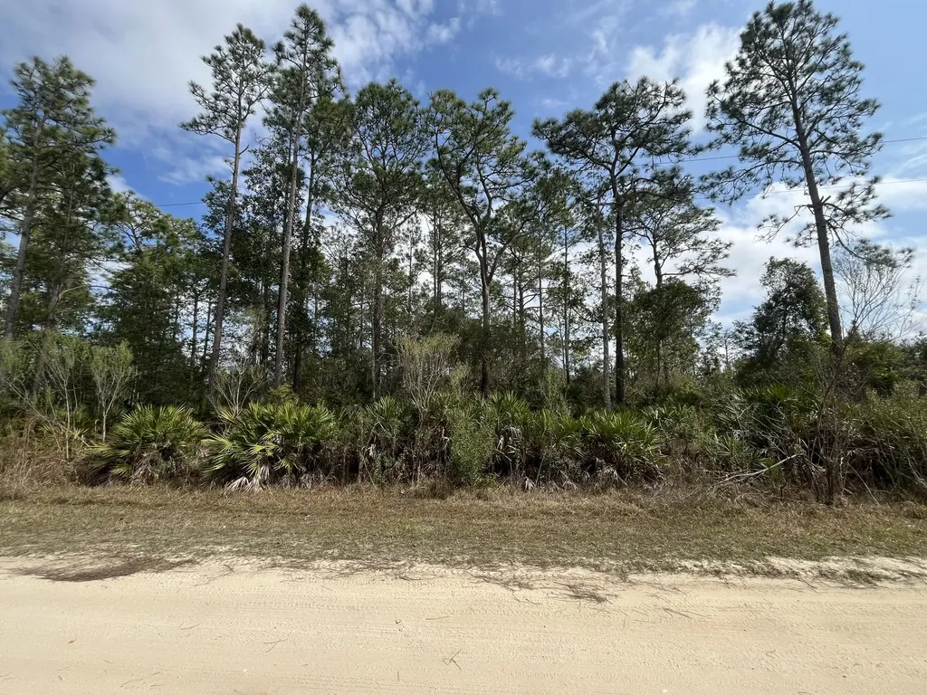 206 Royal Avenue Interlachen FL 32148