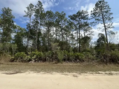 206 Royal Avenue Interlachen FL 32148