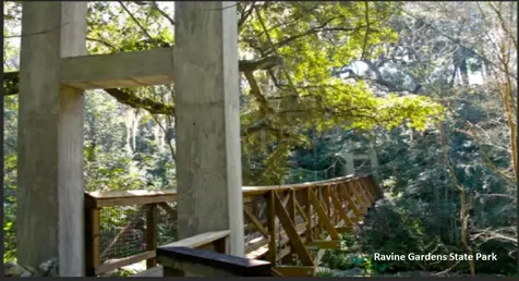 206 Royal Avenue Interlachen FL 32148