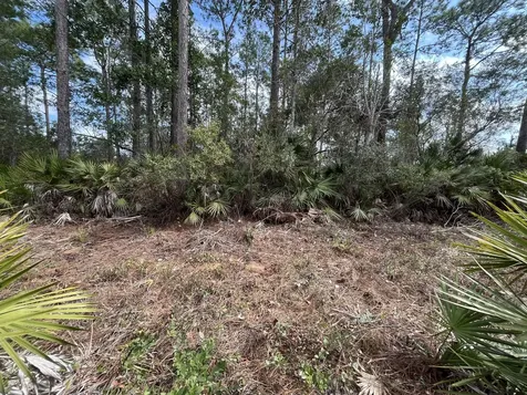 206 Royal Avenue Interlachen FL 32148