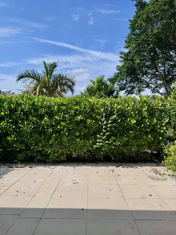 20834 Sedgewick Drive Boca Raton FL 33433