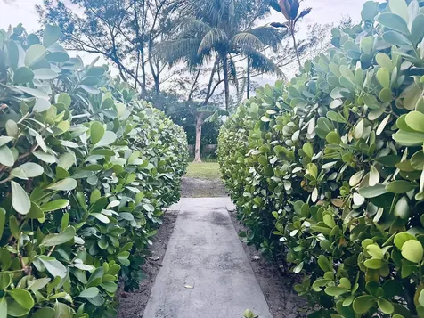 3403 Hi Street Lake Worth FL 33461
