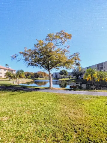 7960 Nw 50th Street Lauderhill FL 33351