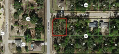 3154 W Bedford Lane Citrus Springs FL 34434