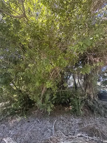 1115 15th Avenue Vero Beach FL 32962