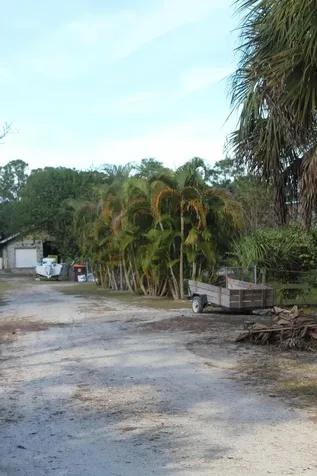 14550 99th Street Fellsmere FL 32948