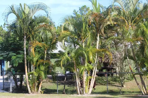 14550 99th Street Fellsmere FL 32948