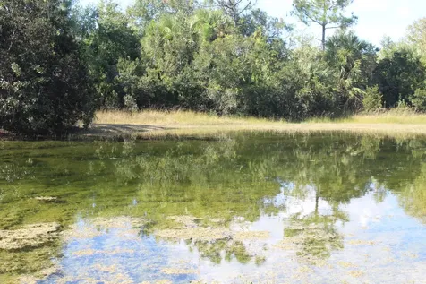 14550 99th Street Fellsmere FL 32948