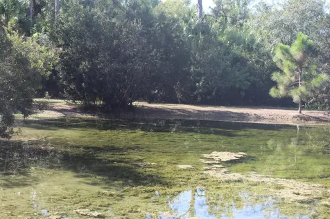14550 99th Street Fellsmere FL 32948