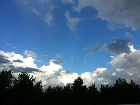 351 Del Monte Road Sebastian FL 32958