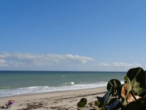 351 Del Monte Road Sebastian FL 32958